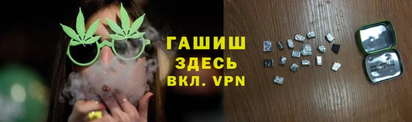 молекула духа Осташков