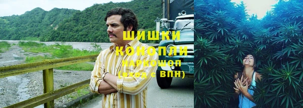 стаф Осинники