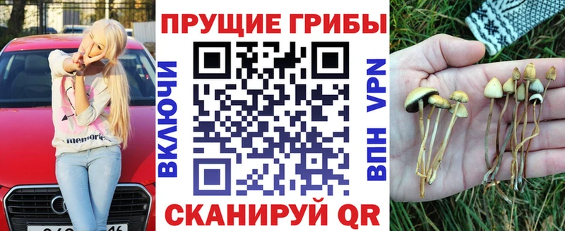 Галлюциногенные грибы мицелий  Углич 